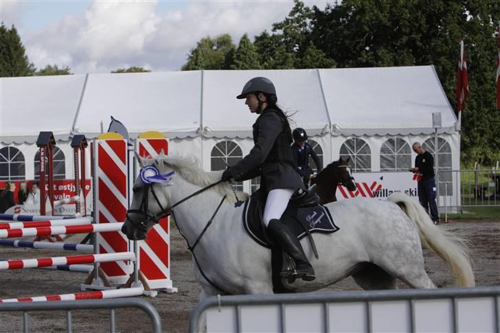 Anden særlig race Chica SOLGT :'( - 2 plads i LB, vores første stævne sanneb, foto: Brian Sølvsten billede 6