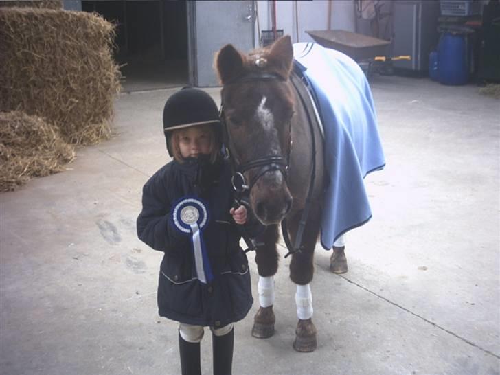 Anden særlig race Bonnie-boy    R.I.P - Mil lille og møg irreterende lille søster Malene og Bonnie, min dreng.. [Taget af moaar] billede 4