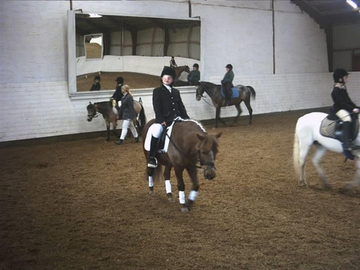 Anden særlig race Bonnie-boy    R.I.P - Mig til stævne på drengen, dressur stævne., :P billede 5