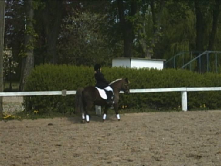 Anden særlig race Bonnie-boy    R.I.P - Han er bare så sød billede 7