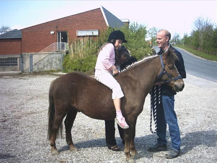 Anden særlig race Bonnie-boy    R.I.P - der er min kusine rafia oppe på ham billede 10