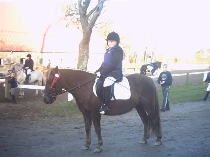 Anden særlig race Bonnie-boy    R.I.P - Vi kan også springe., q; billede 12