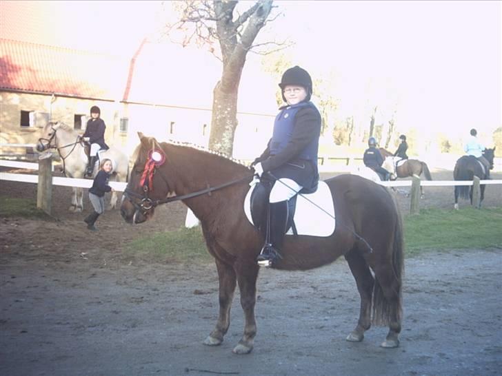 Anden særlig race Bonnie-boy    R.I.P - Igen., :P  billede 13