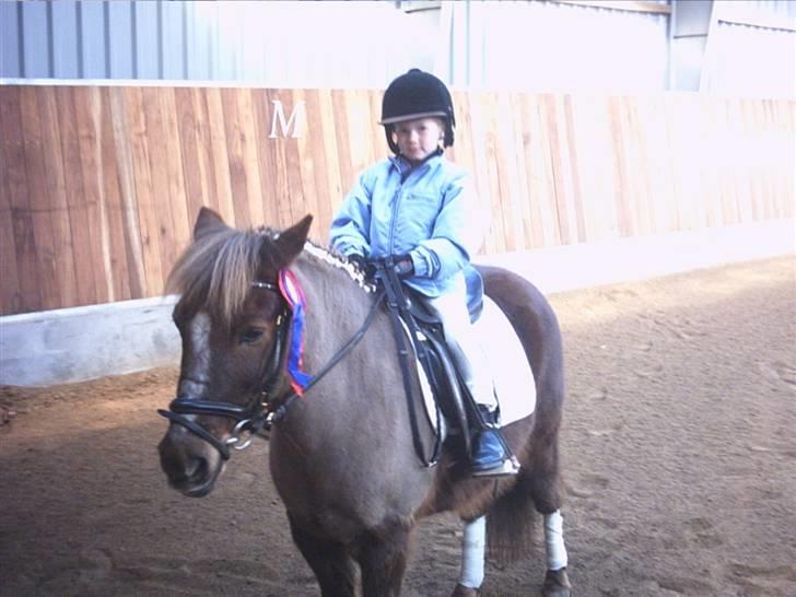 Anden særlig race Bonnie-boy    R.I.P billede 14