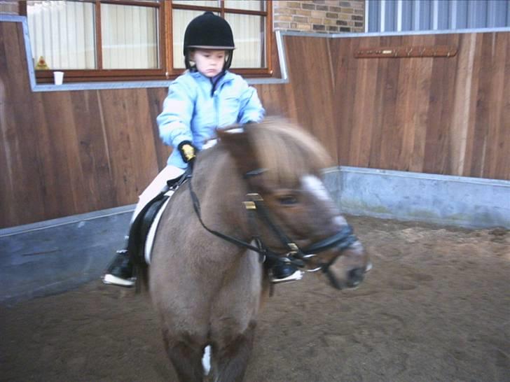 Anden særlig race Bonnie-boy    R.I.P - Slap af i hænderne, Malene., ! Ejj, hun er  kun 6 år., :P på det her billed.  ! billede 15