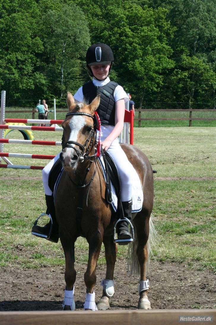 Anden særlig race Jamaica <3(gammel part)<3 - til stævne i vasehus d.31/05-09 en 1 plas i LB  billede 2