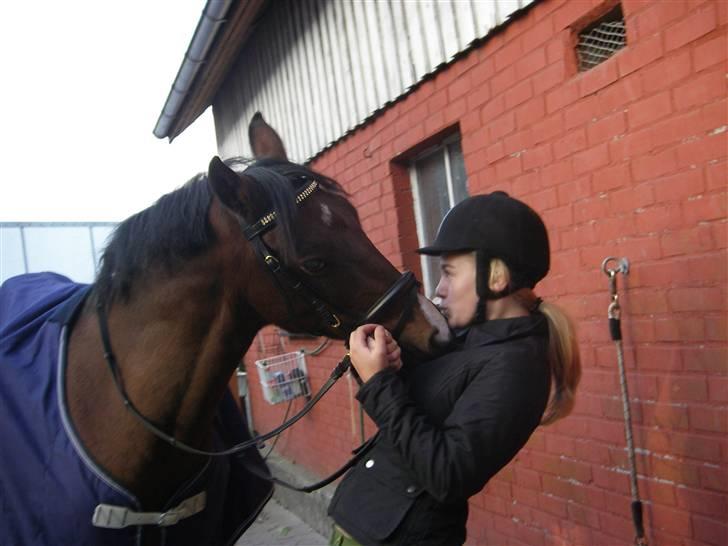 Hollandsk Sportspony Cupido<3 - HAHA! rikke i jordens underligste stilling, Pips er bare køn XD Elsker dig<3 Foto MEtte *søs* <3 billede 13