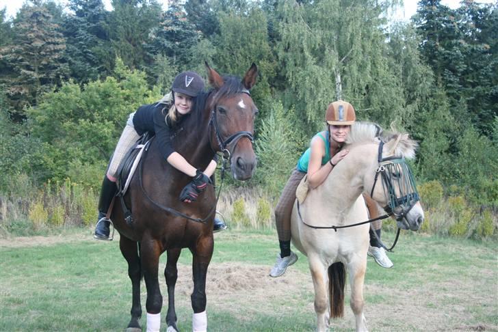 Fjordhest Loui*goodye my angel<3RIP - As we go on We remember All the times we Had together And as our lives change billede 19