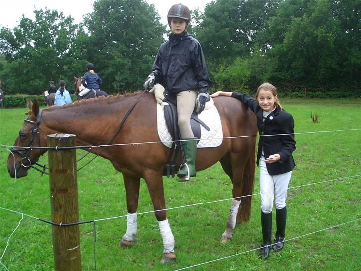 DSP zeus<3 (min egen) - efter LRK dressur (vandt) billede 14