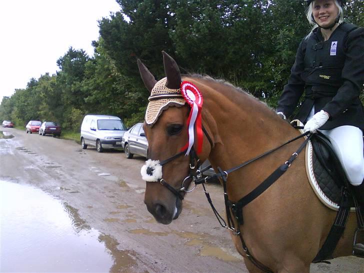 Anden særlig race Frk Smilla SOLGT billede 10