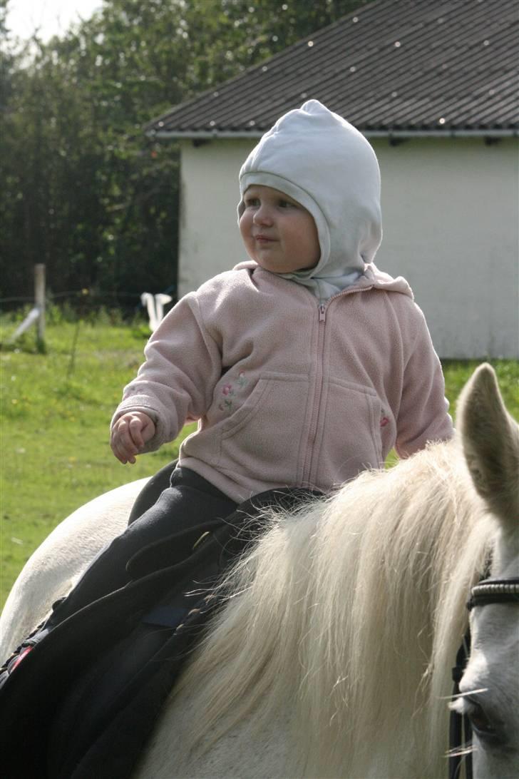 Anden særlig race Selina billede 8