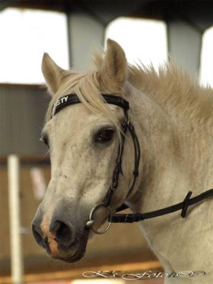 Anden særlig race Misty R.I.P billede 18