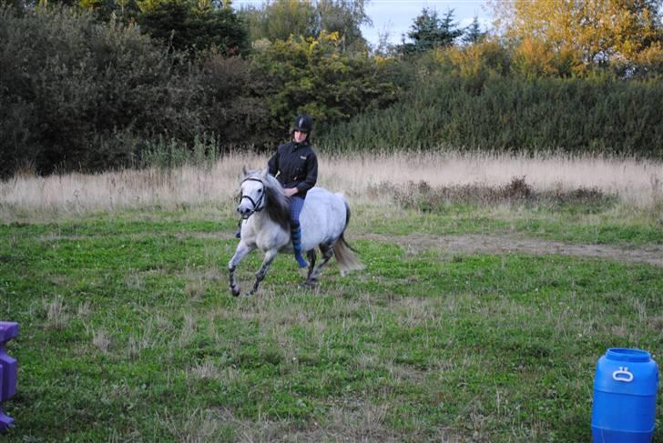 Anden særlig race |  Beauty - Beauty og mig i en lille galop<3 Foto far billede 15