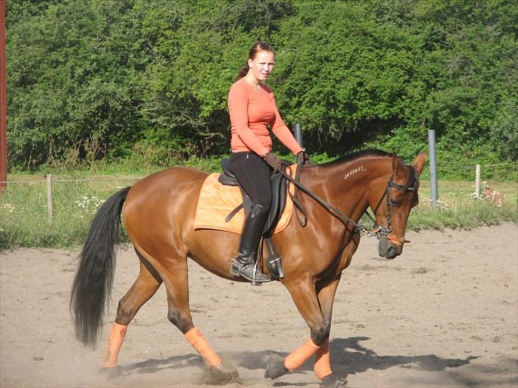 Traver stella (connie) - er hun ikke fin billede 4