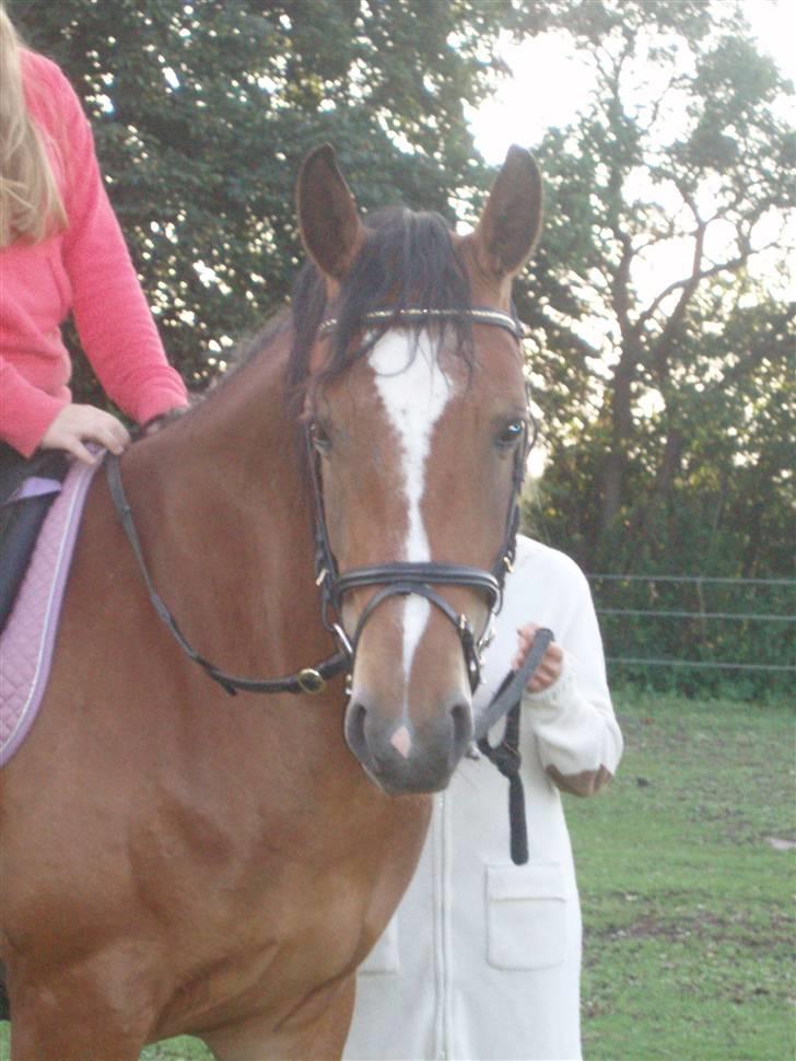 DSP Thorups Manilla - 27. juli 2007 billede 11