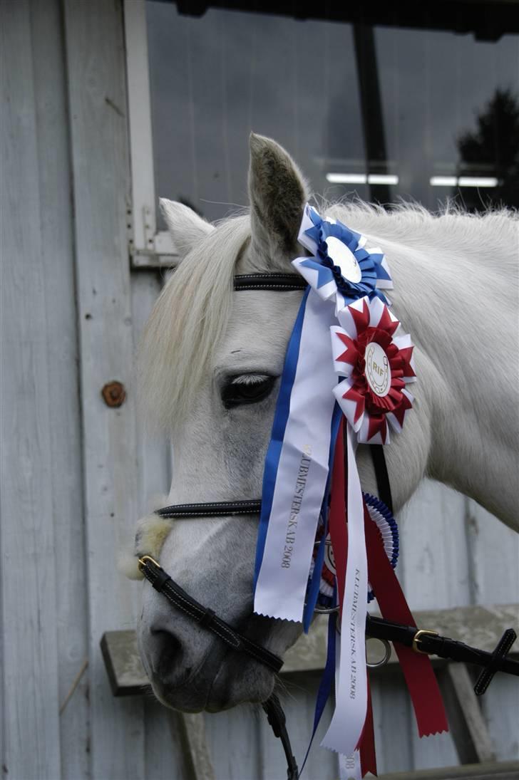 Anden særlig race Perle( Part) <'33 - Velkommen til Perle´s profil:D  billede 1