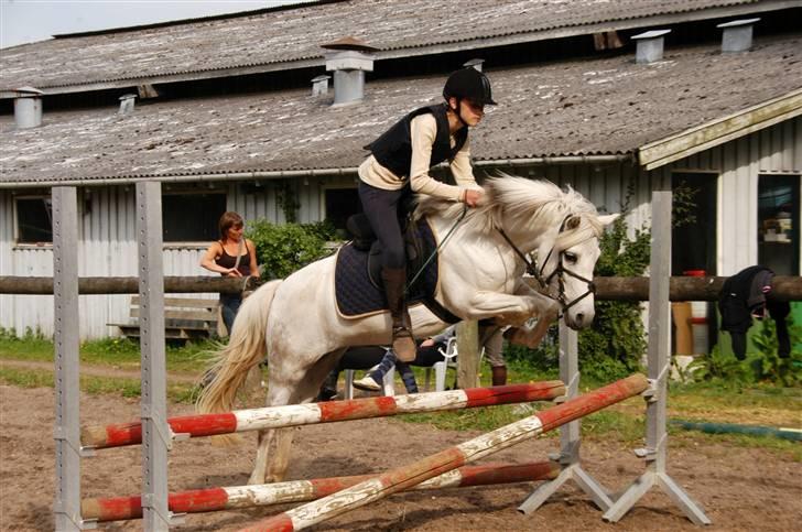 Anden særlig race Perle( Part) <'33 - Nanna springer perle :D billede 2