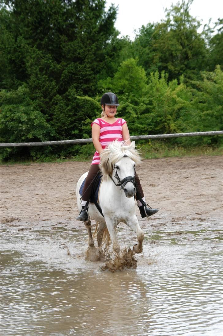 Anden særlig race Perle( Part) <'33 - Rider igennem vand :D <´3 billede 4