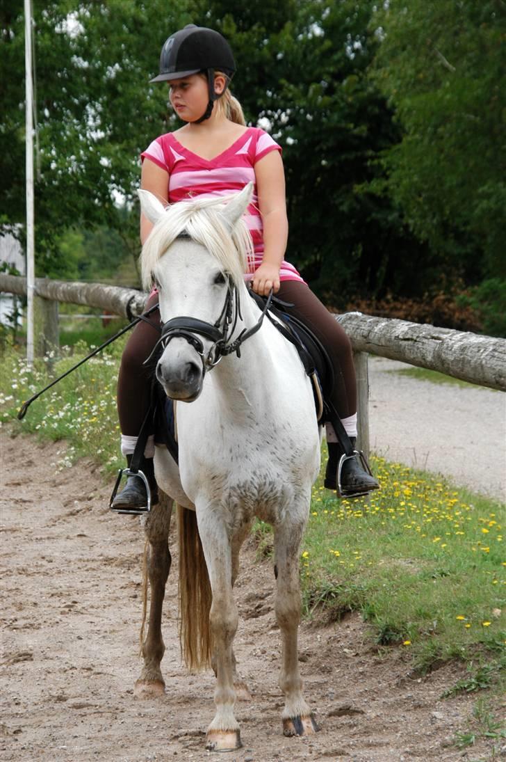 Anden særlig race Perle( Part) <'33 - Rike på smukke Perle <´3 billede 5