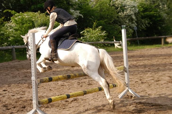 Anden særlig race Perle( Part) <'33 - Nanna Sringer Perle:D <´3 billede 6