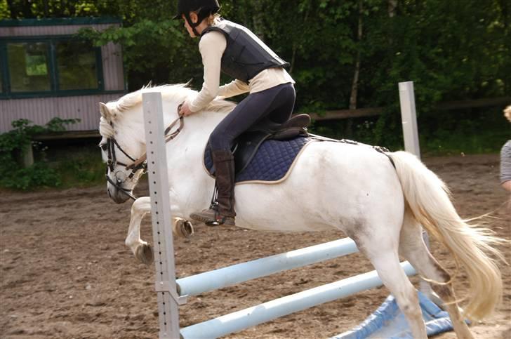 Anden særlig race Perle( Part) <'33 - Nanna Sringer Perle:D <´3 billede 7