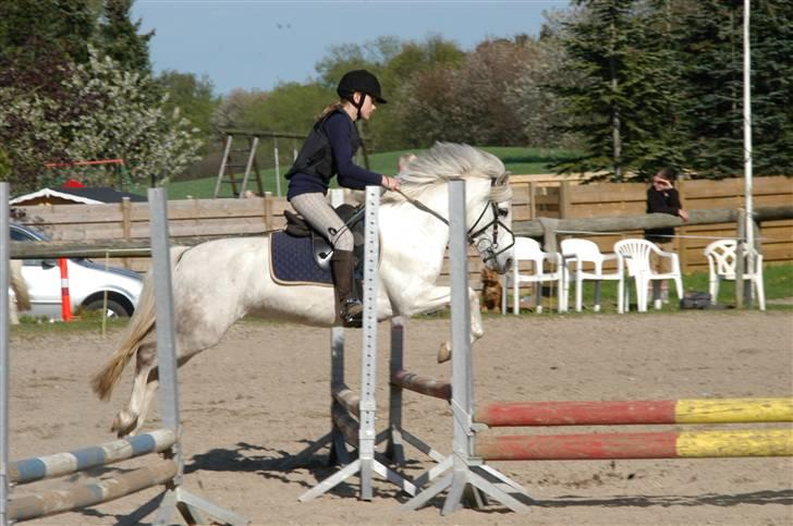 Anden særlig race Perle( Part) <'33 - Nanna Sringer Perle:D <´3 billede 8