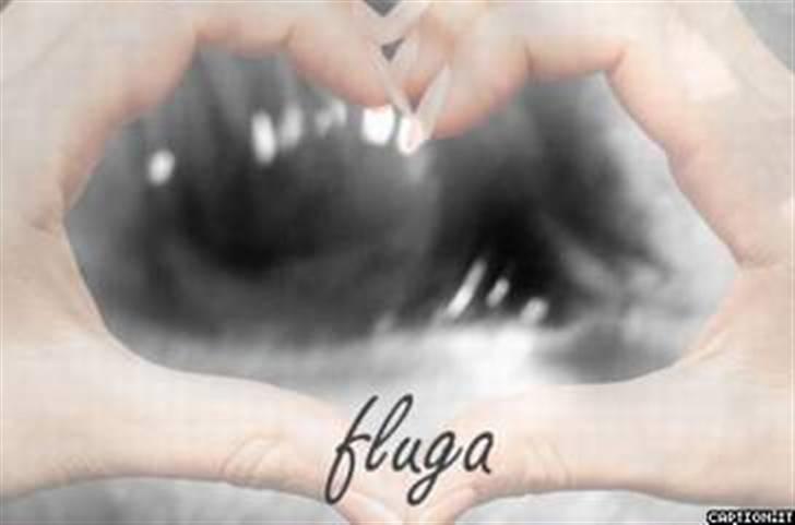 Islænder fluga - flugas øje en der har lavet det til mig!:) tark!!:D billede 1