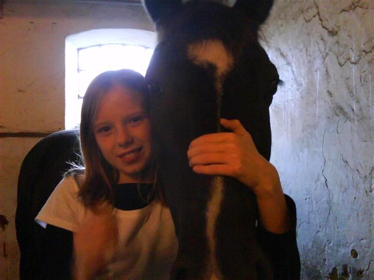 New Forest Black Pepper *elev pony* - Mig Og Black Pepper, Sødt Par? <3 xD Foto: Marie billede 1