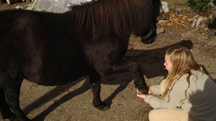 Anden særlig race munik - jeg strager mig lige hvad jeg har brug for <33 billede 2
