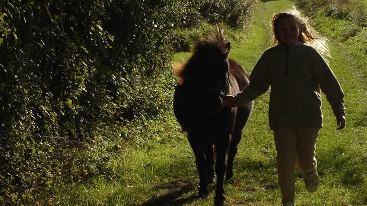 Anden særlig race munik - elsker at løbe med melanie hen til stup-marken<33 billede 4