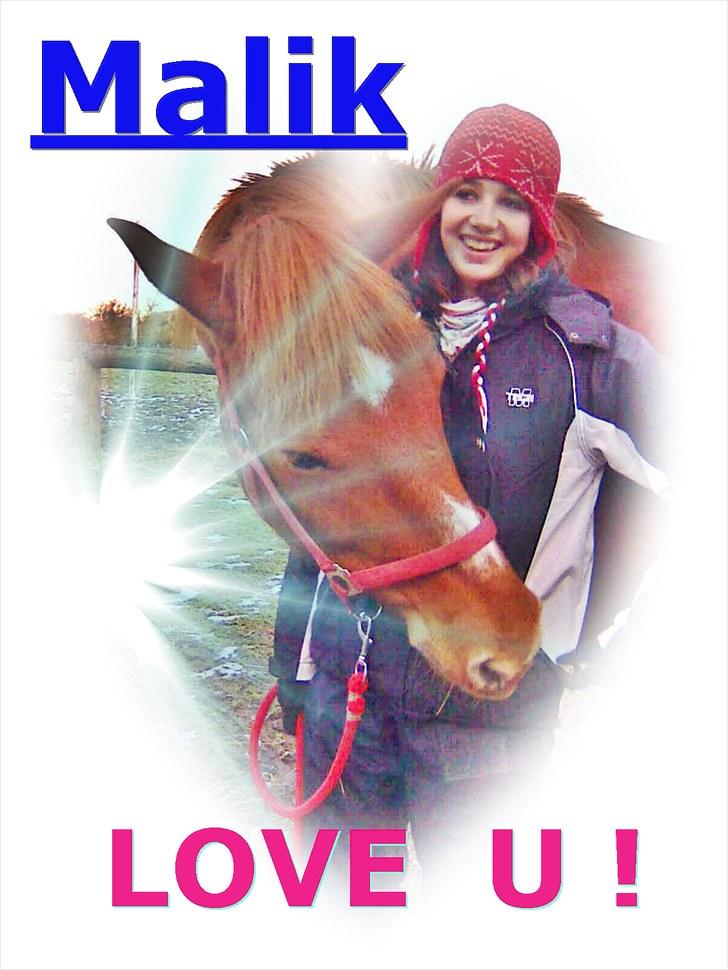 Oldenborg Malik - er vi ikke søde  billede 12