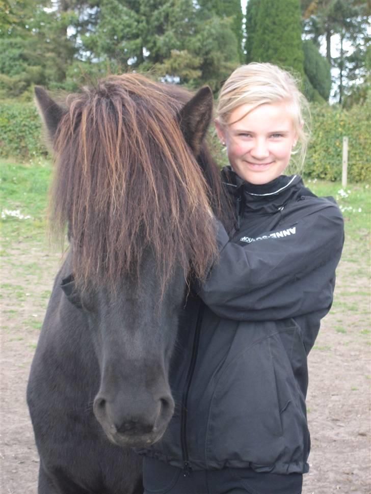 Islænder Fjalar Fra Løvemose<3 - Mig og Fjalar billede 4