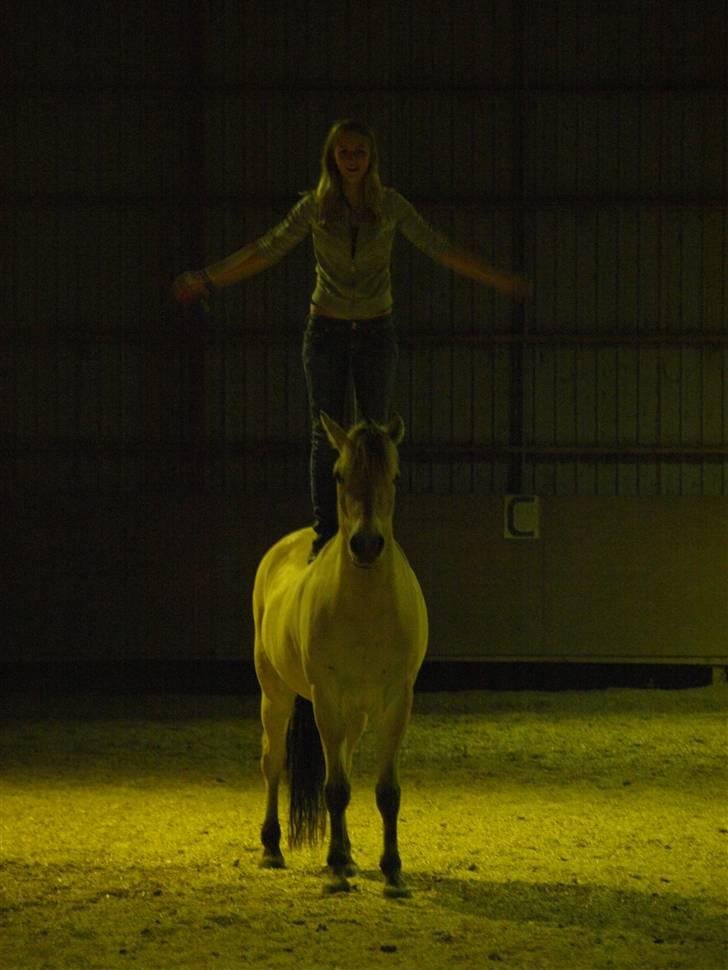 Fjordhest Clausen - FOTO: Mette Bendt. Clausen og mig efter vi er startet på Vittrup efterskole VE 08/09 billede 14