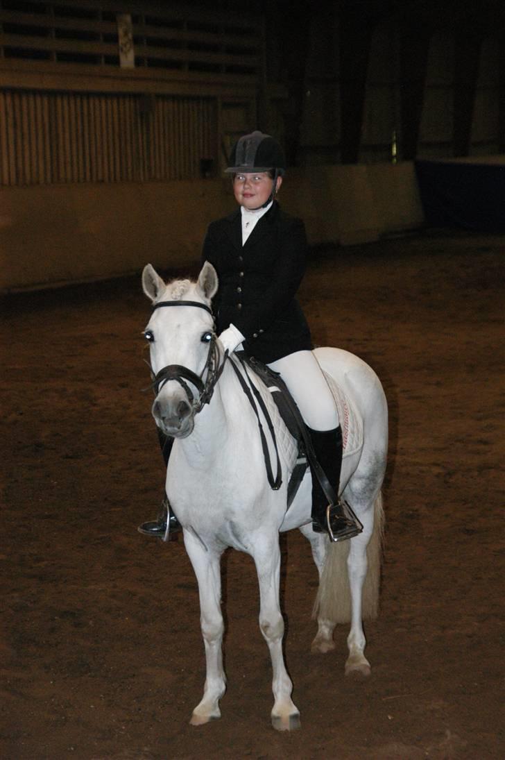 Anden særlig race Perle( Part) <'33 billede 9