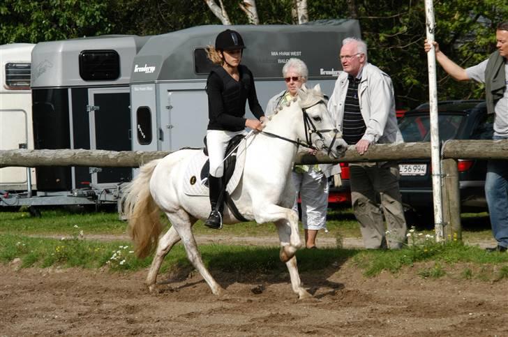 Anden særlig race Perle( Part) <'33 billede 10