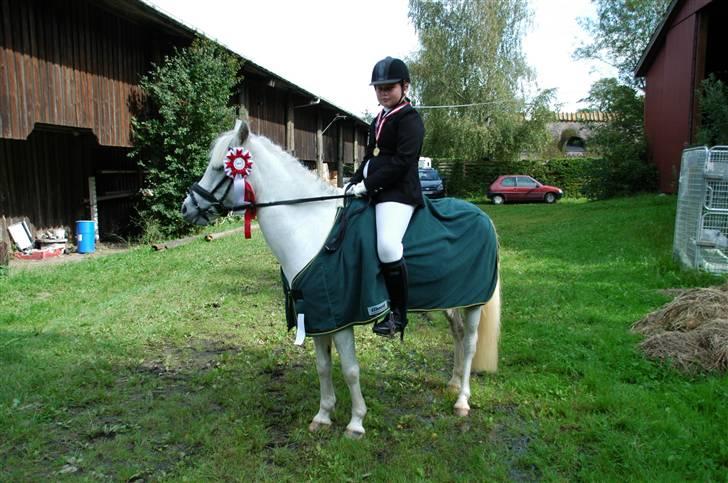 Anden særlig race Perle( Part) <'33 billede 12