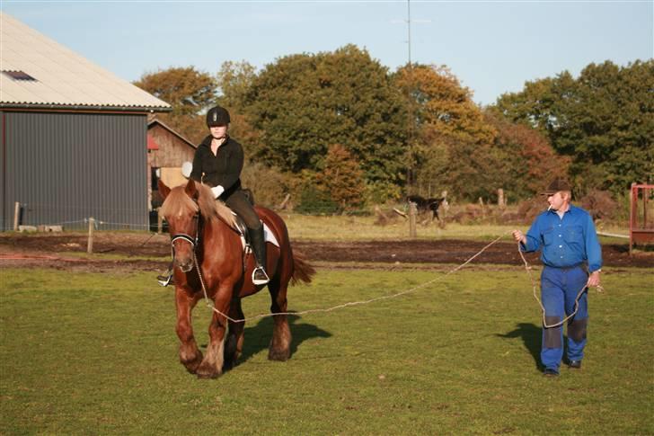 Jyde Freja - under tilridning, 2. gang med rytter billede 10