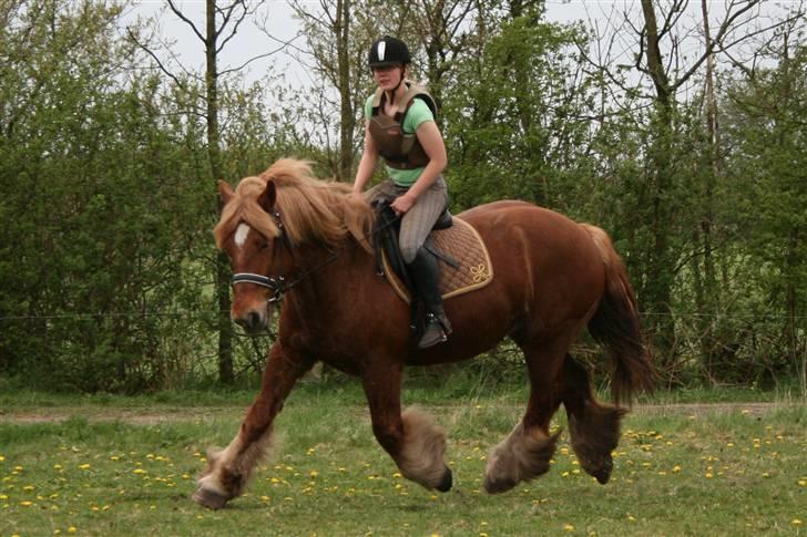 Jyde Freja billede 12