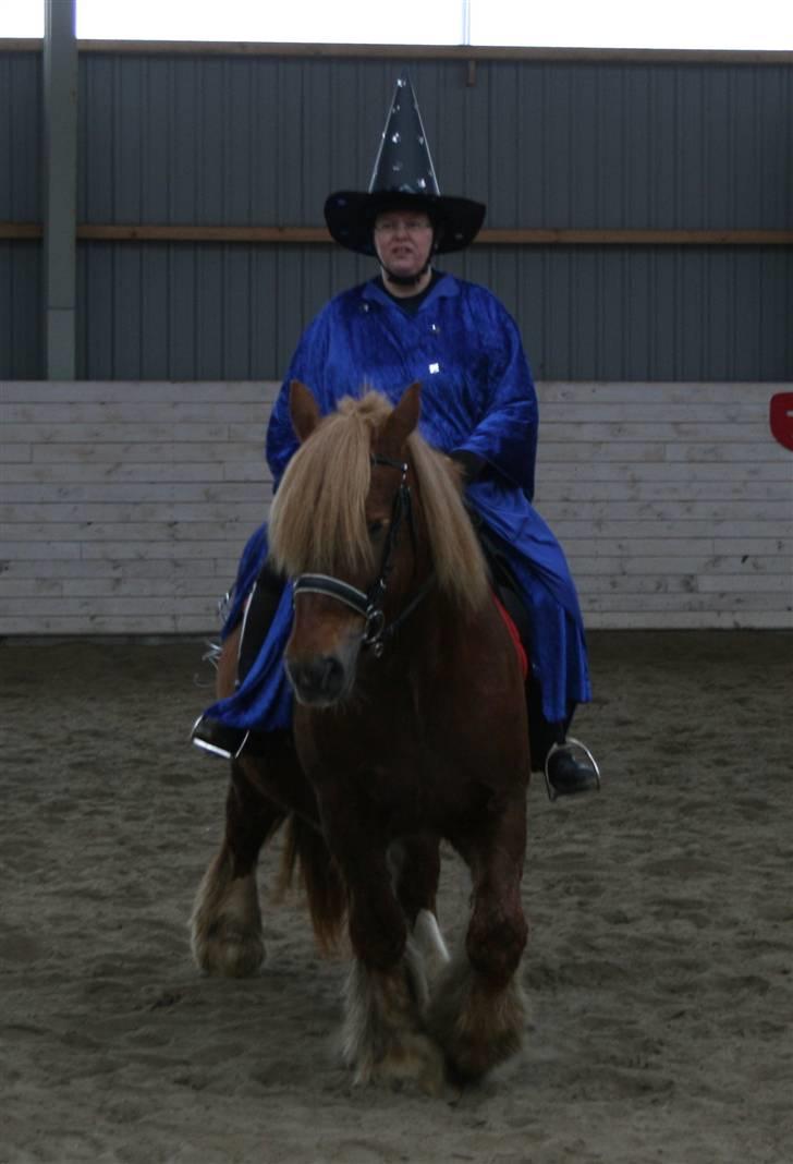 Jyde Freja - Mor sam trolsmand til fastelavn 2010, 4 dage senere folede Freja et hoppeføl.... billede 13