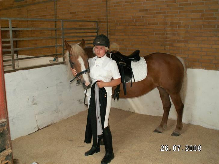 Tyroler Haflinger Stutteri Anjin Hollywood(nu min mors hest) - efter en varm dag køler min skattepige lidt af og det samme gør jeg hehe billede 10