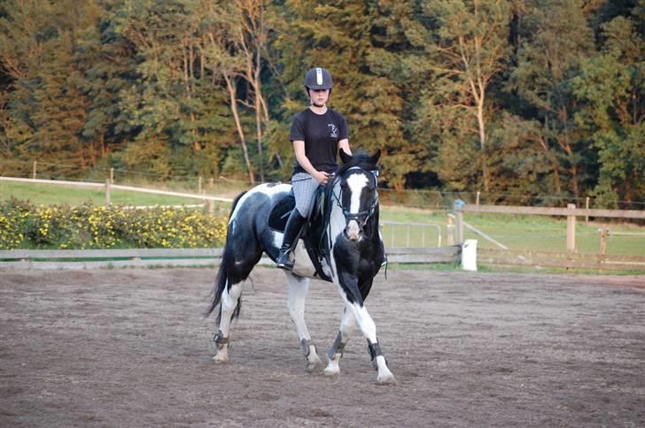Anden særlig race Shannon *Gammel part* - Shannon og mig rider dressur (: Han er så fin [ Foto : Amalie ] billede 13