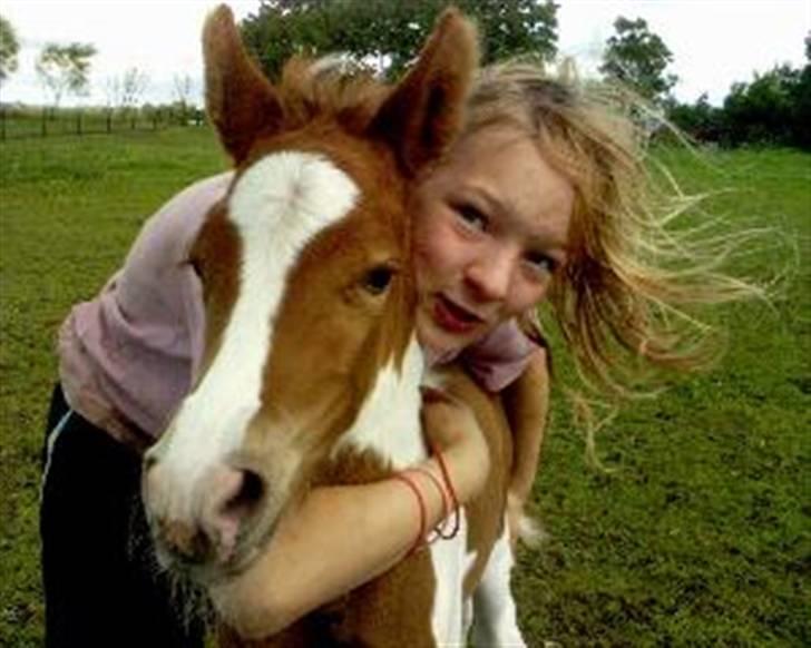 Pinto Hvadlodeaf` FELILL(R.I.P) billede 6