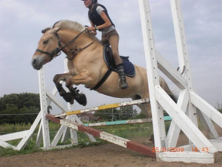 Fjordhest Natalii *Tøzee* - Tøzee og jeg der springer bidløst <3 Elsker den pony højder end noget andet <3  Foto: Kiki  billede 10