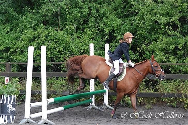 DSP zeus<3 (min egen) - nuur han lander hårdt billede 15