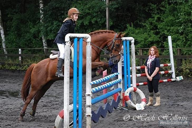 DSP zeus<3 (min egen) - wow han er dejliggg     waaaarrh! billede 16