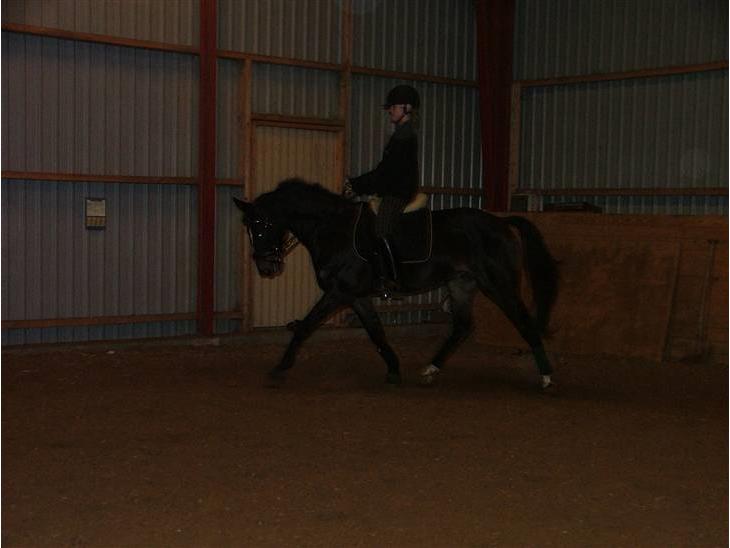 {{currentPhoto.altText}} billede {{currentPhoto.number}}