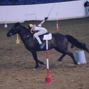 Anden særlig race Dancing My Blue Midnight