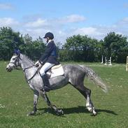 DSP Skovhyttens Rafini