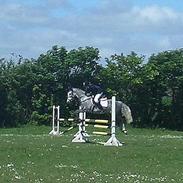 DSP Skovhyttens Rafini