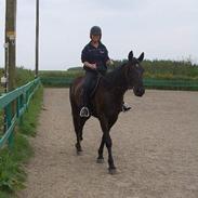 Traver Long Island IceTea